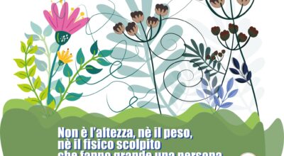 grafica5