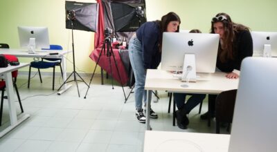 grafica6